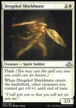 Drogskol Shieldmate