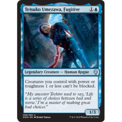 Tetsuko Umezawa, Fugitive