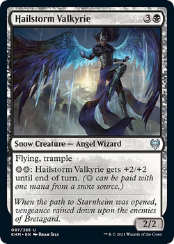 Magic Single - Hailstorm Valkyrie (Foil)