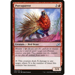 Porcuparrot