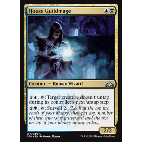 House Guildmage