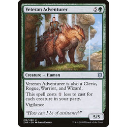 Magic Single - Veteran Adventurer