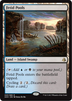 Fetid Pools