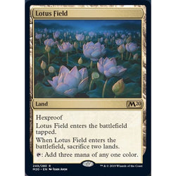 Lotus Field