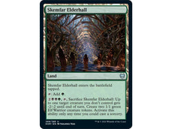 Magic Single - Skemfar Elderhall