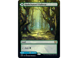 Magic Single - Barkchannel Pathway // Tidechannel Pathway (Borderless)