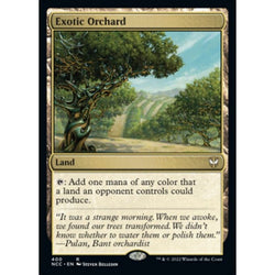 Magic Single - Exotic Orchard