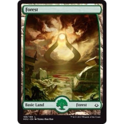 Forest Full Art