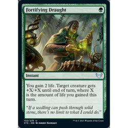 Magic Single - Fortifying Draught