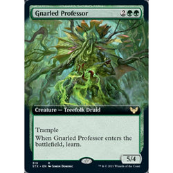 Magic Single - Gnarled Professor (Extended Art)